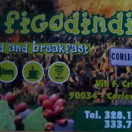 Il Ficodindia *